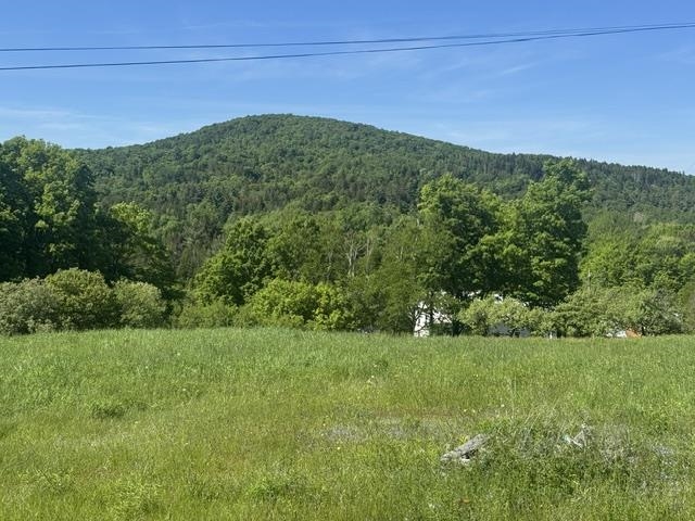 3491 County Road Albany, VT 05875 - Photo 8 of 44