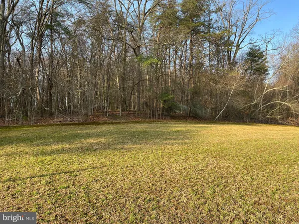 a view of a yard with large trees