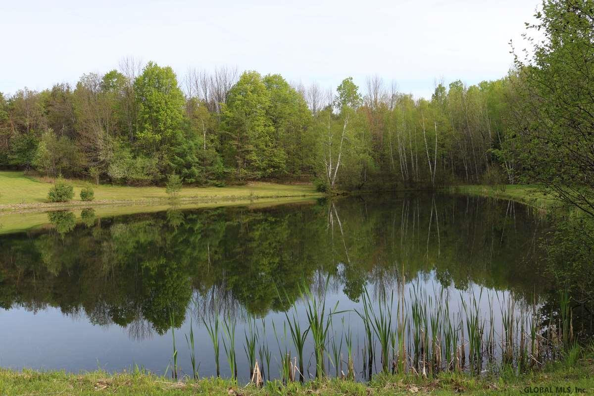 394 Coulter Road Johnsburg, NY 12843 - Photo 4 of 24 Photo 4
