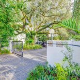 a view of a street with potted plants and a large tree