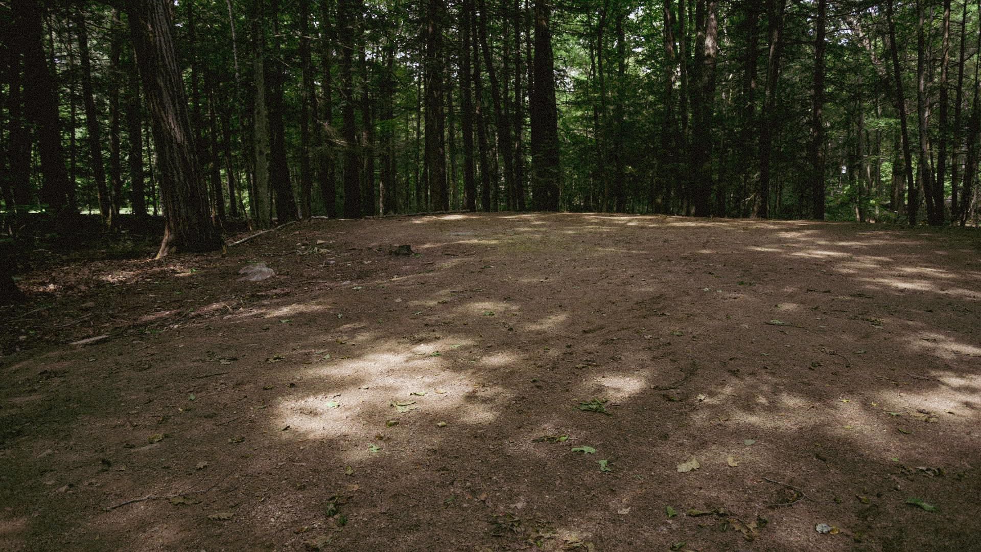 270 Burns Hill Road Wilton, NH 03086 - Photo 48 of 60