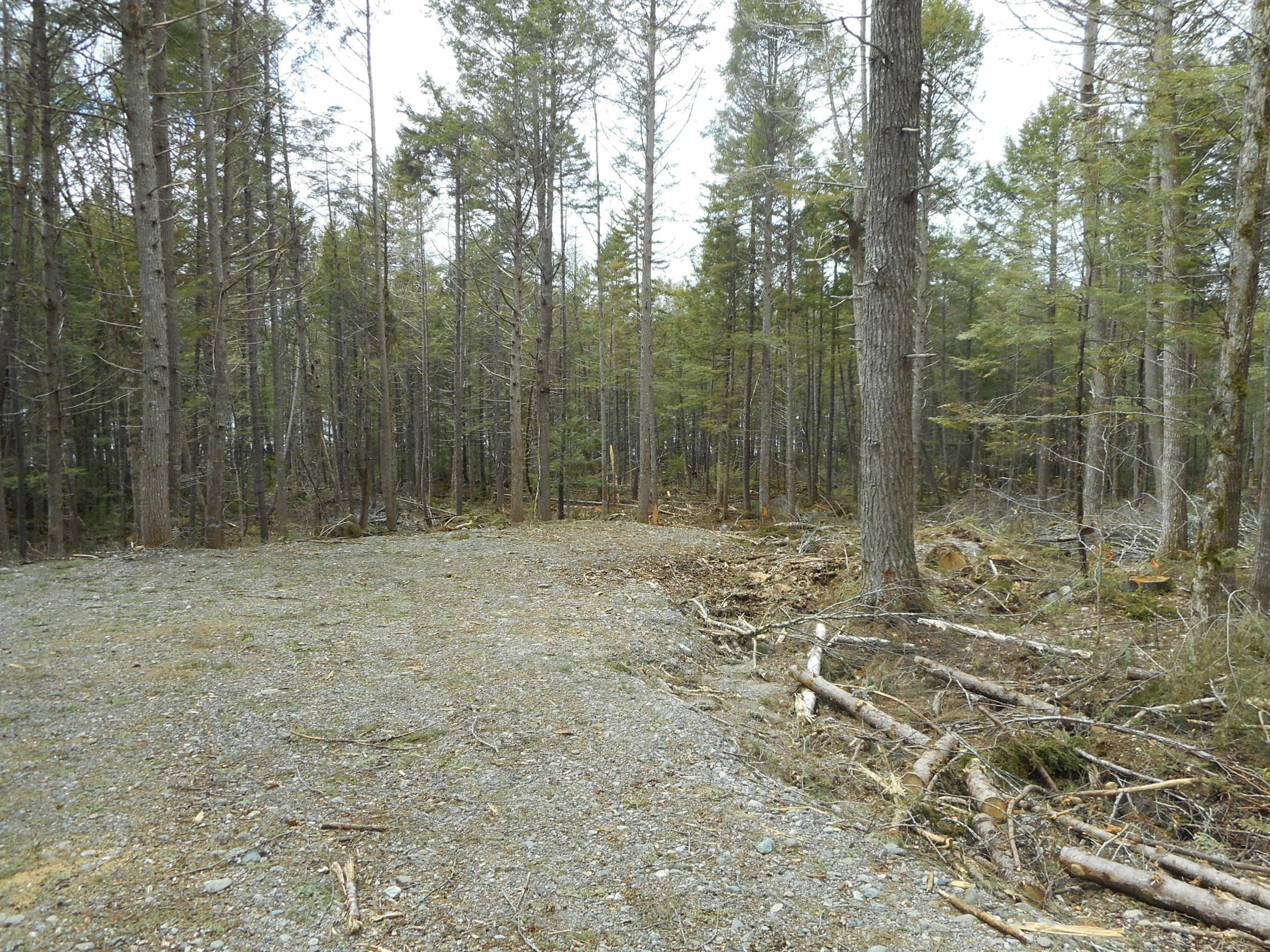 9-03 Upper Pug Road Lakeville, ME 04487 - Photo 7 of 11 DSCN2065