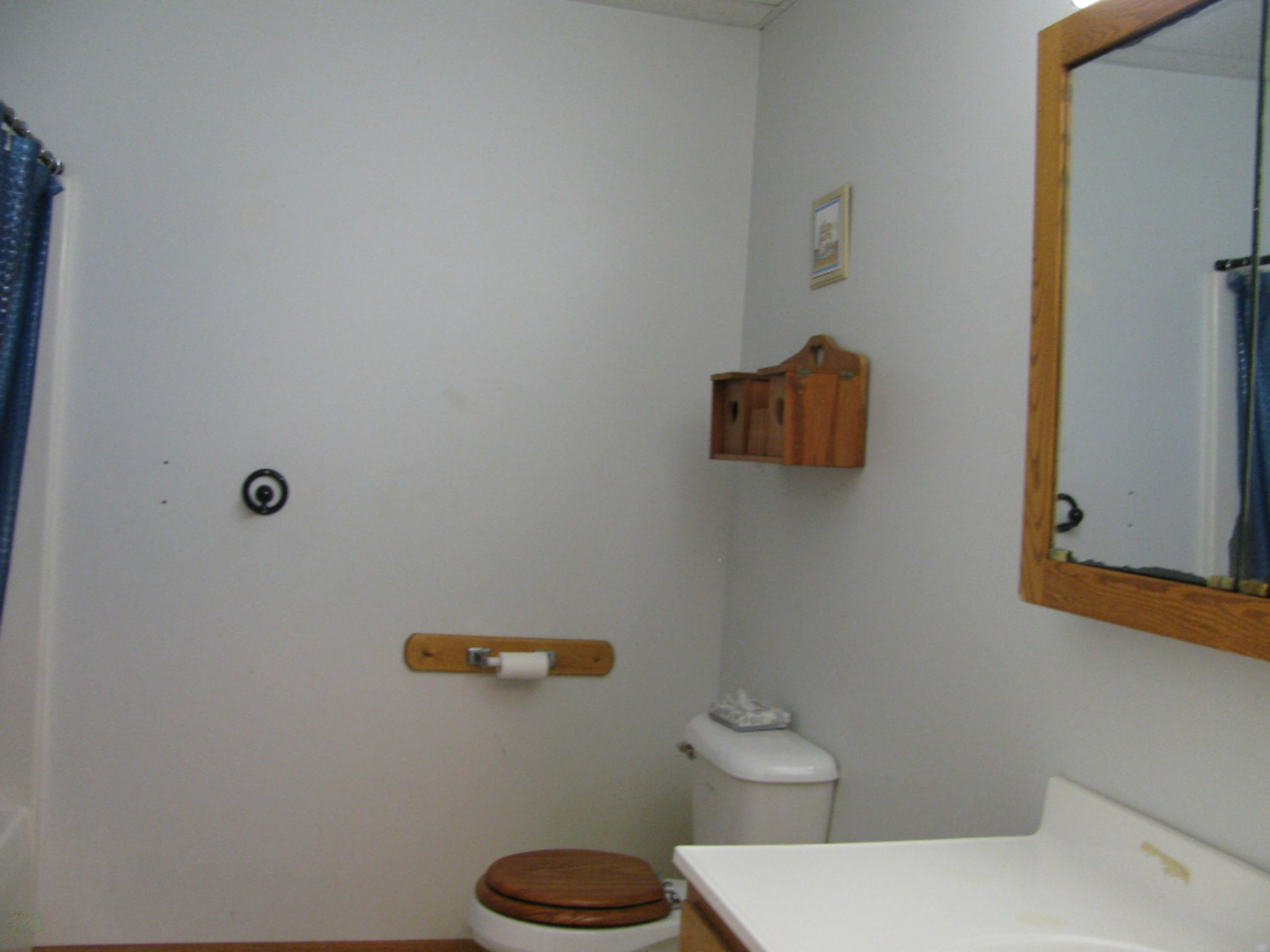 2812 East Colby Road Stanton, MI 48888 - Photo 23 of 32 IMG_5131