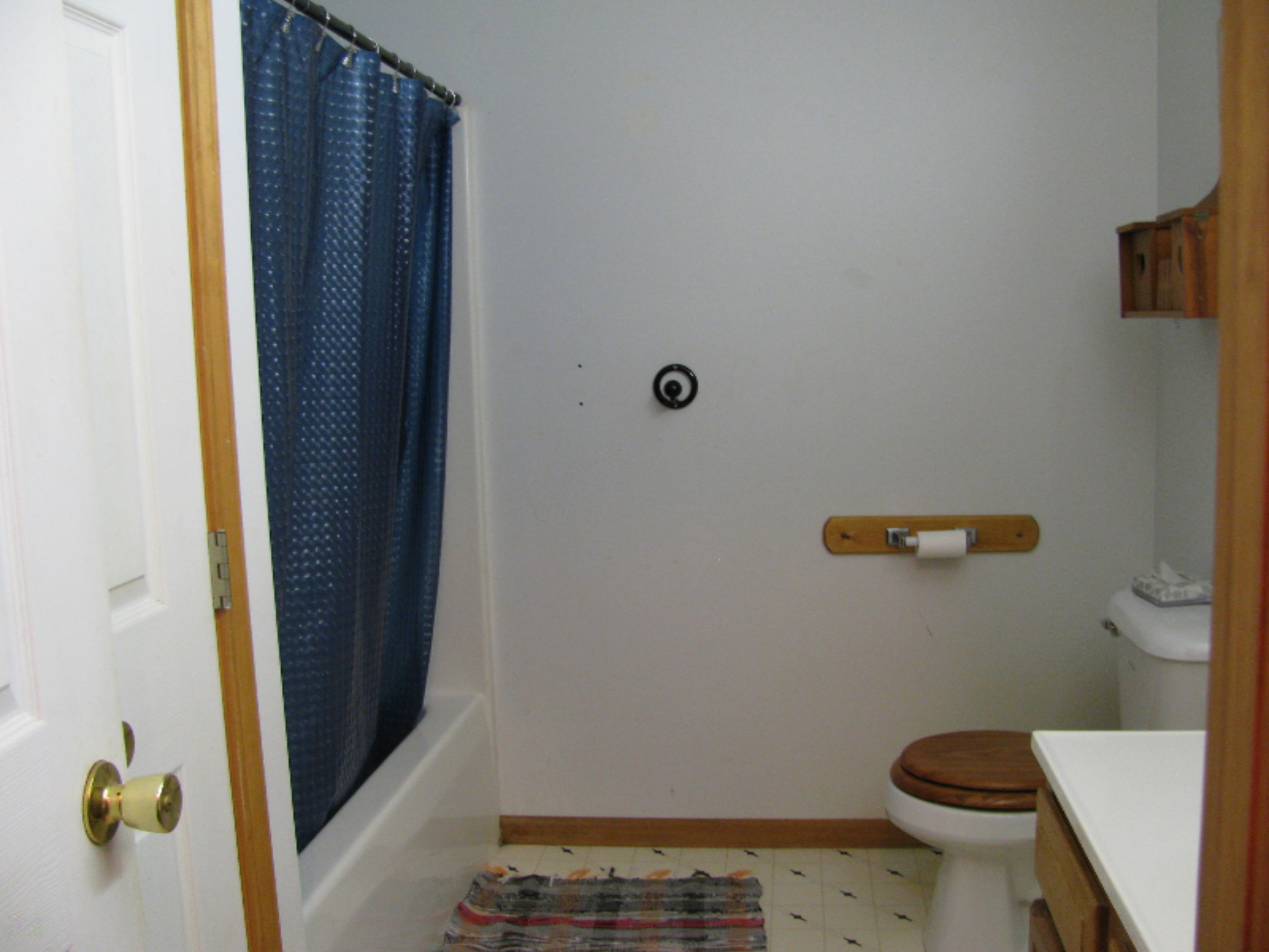 2812 East Colby Road Stanton, MI 48888 - Photo 24 of 32 IMG_5132