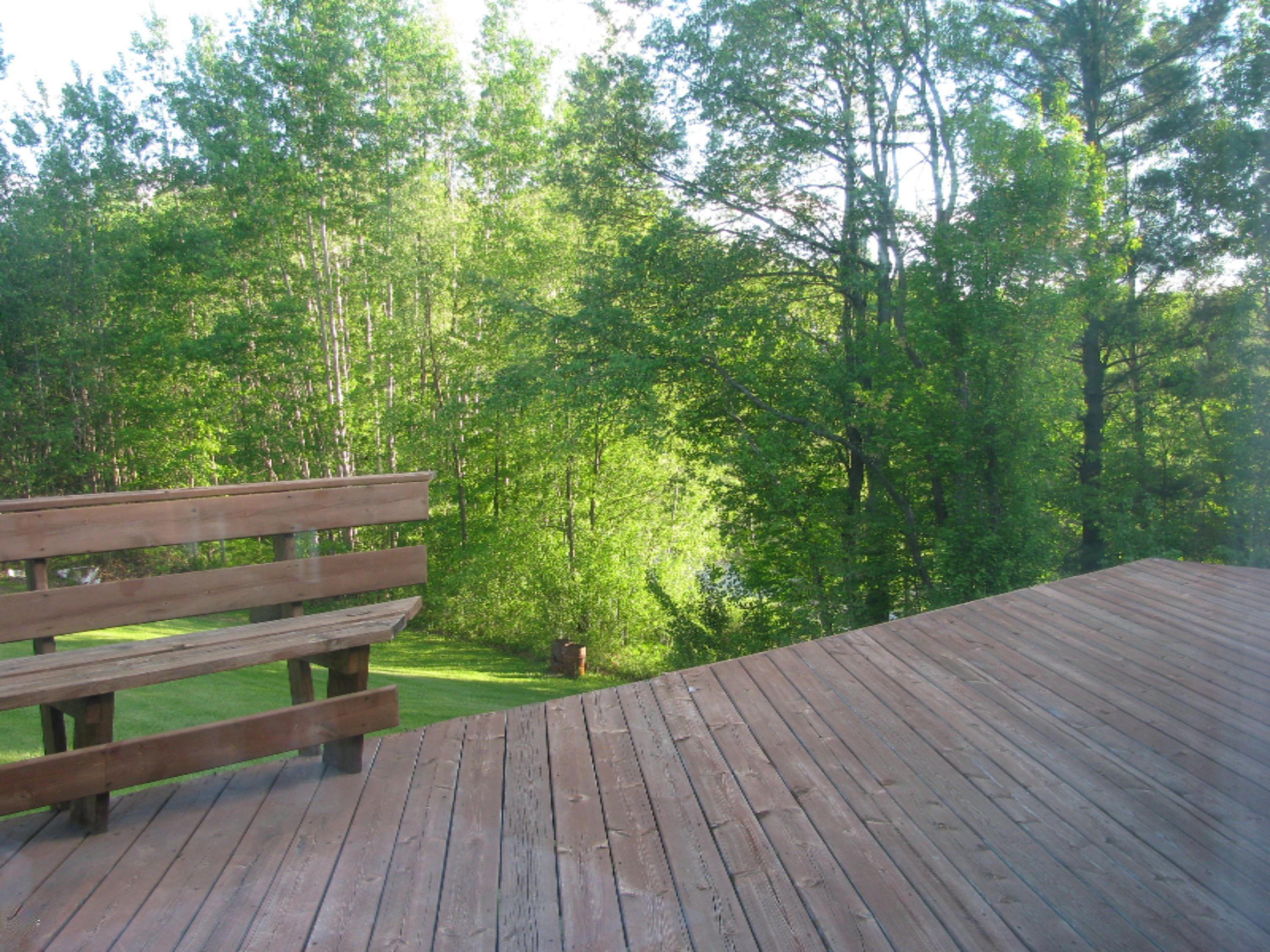 2812 East Colby Road Stanton, MI 48888 - Photo 32 of 32 IMG_5147