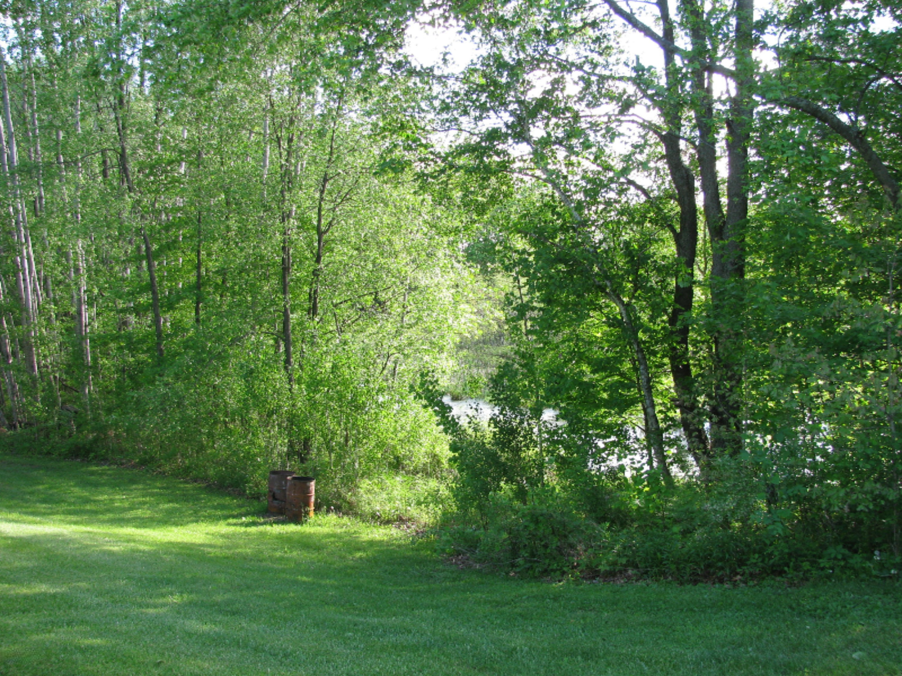 2812 East Colby Road Stanton, MI 48888 - Photo 4 of 32 IMG_5102