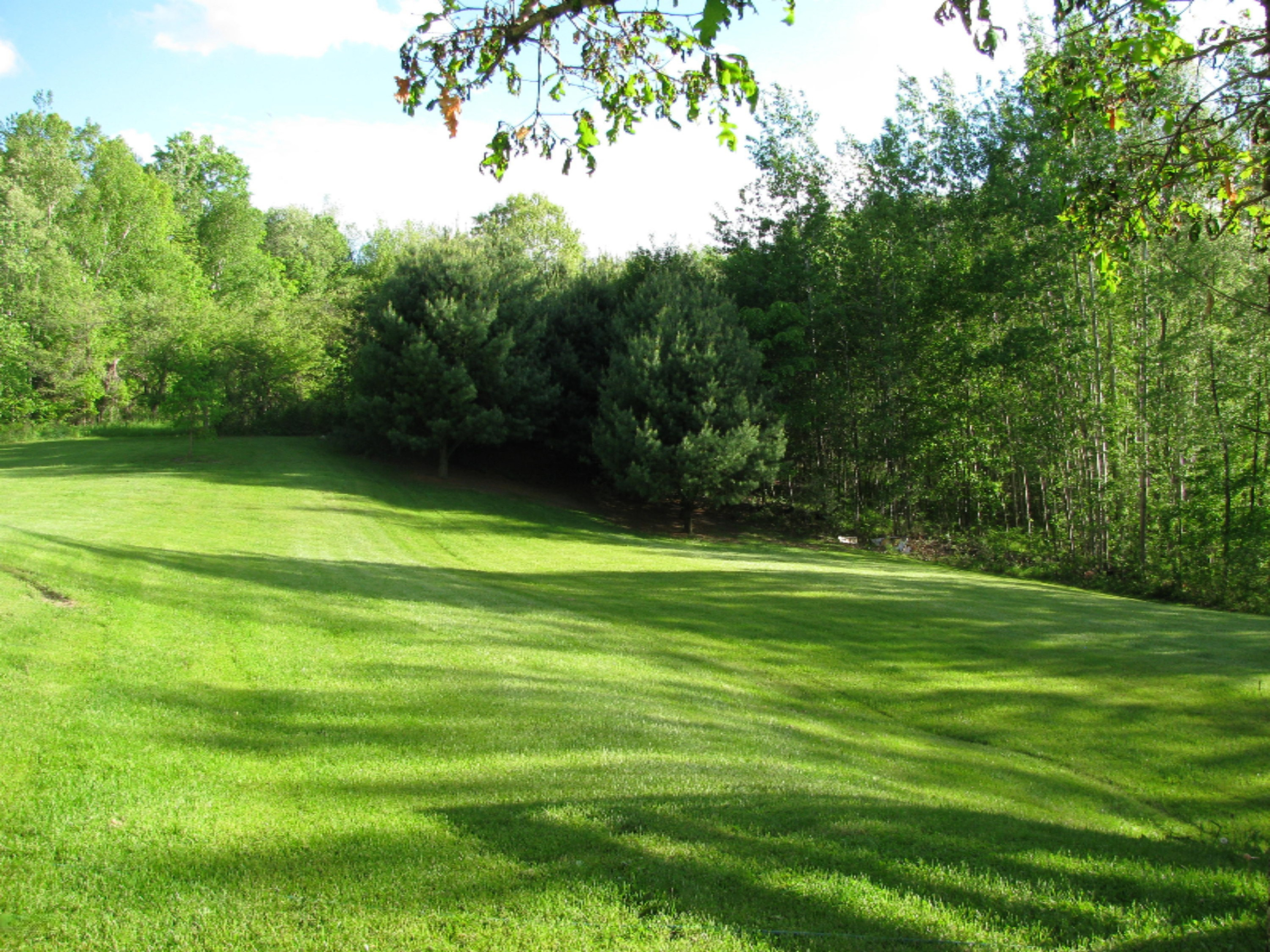 2812 East Colby Road Stanton, MI 48888 - Photo 9 of 32 IMG_5108