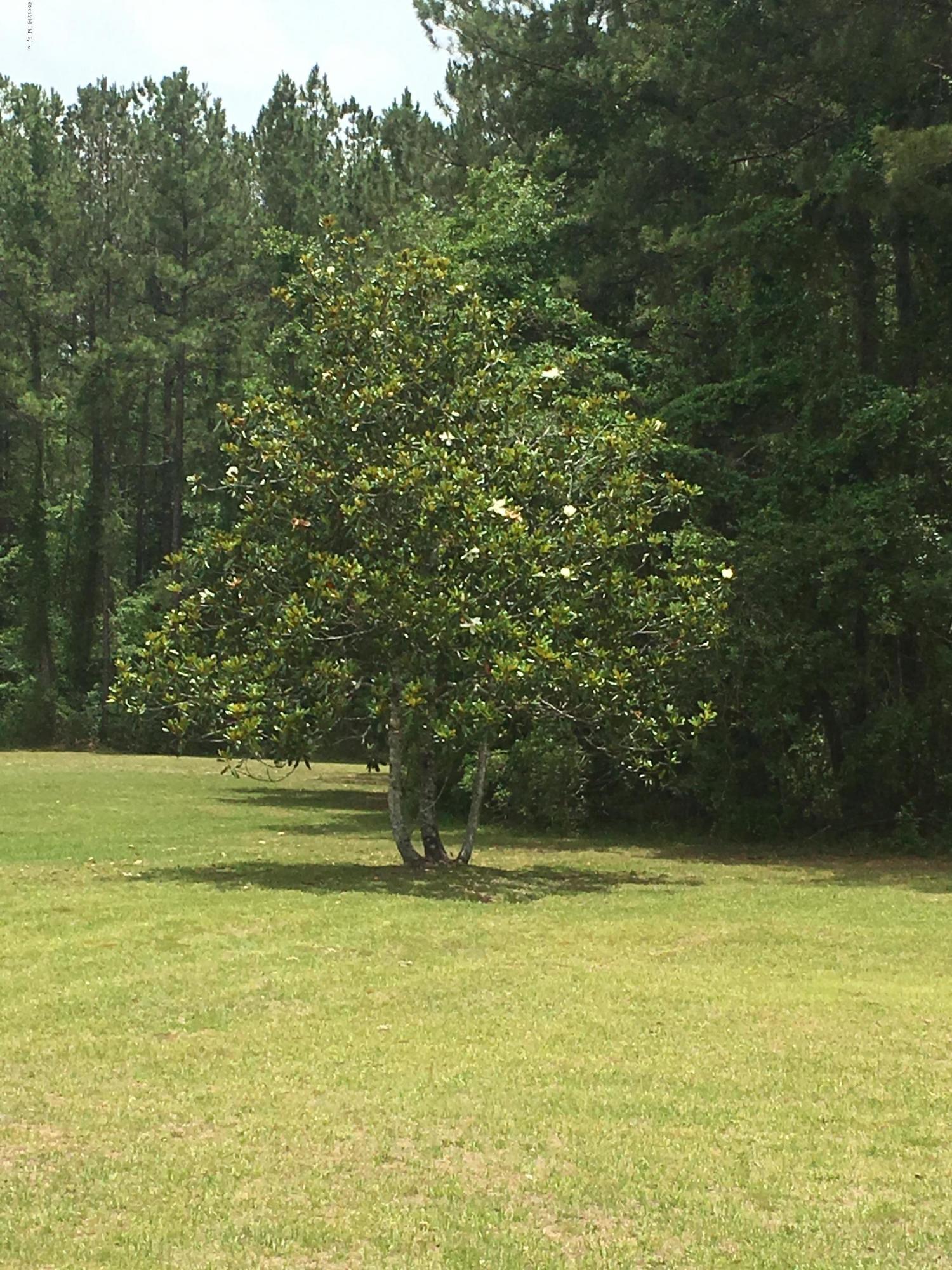 5199 Buckhead Road Middleburg, FL 32068 - Photo 22 of 22 buckhead14