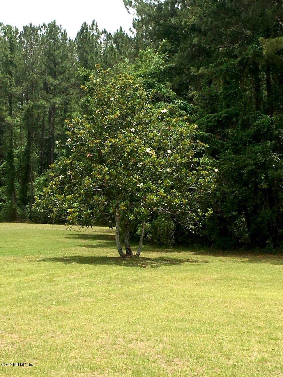 5199 Buckhead Road Middleburg, FL 32068 - Photo 4 of 22 buckhead5