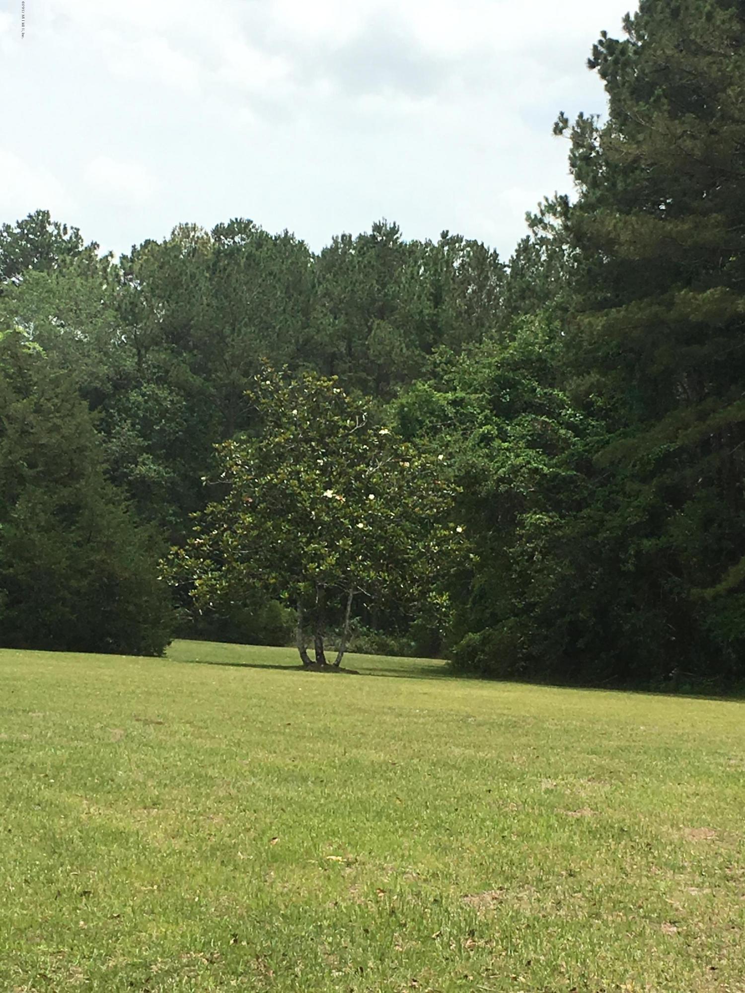 5199 Buckhead Road Middleburg, FL 32068 - Photo 6 of 22 buckhead17