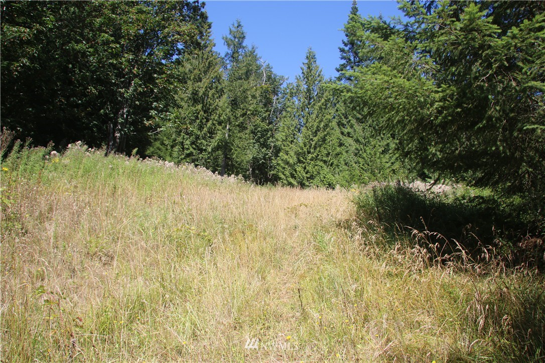 242 Duncan Road Kelso, WA 98626 - Photo 1 of 5 Gallery Image 1