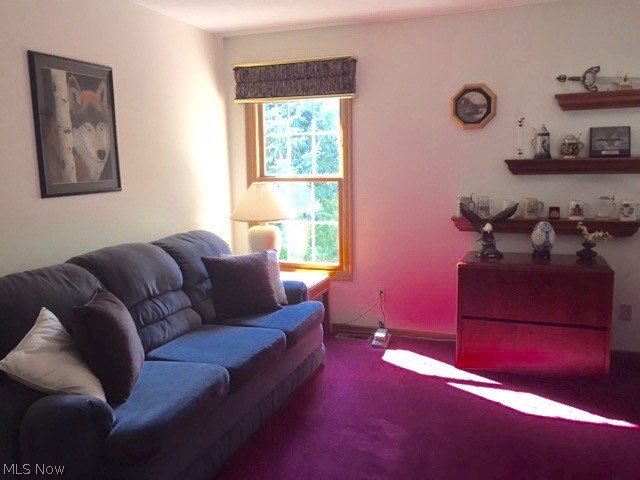 9160 Reed Road North Ridgeville, OH 44039 - Photo 15 of 28 Gallery Image 15