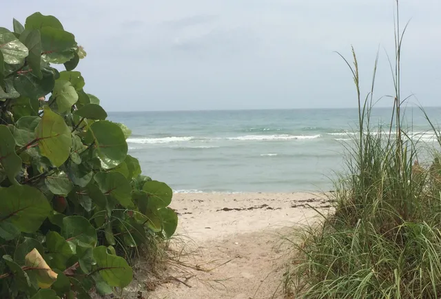 $4,800 | 7430 South Ocean Drive, Unit 519, Jensen Beach, FL 34957