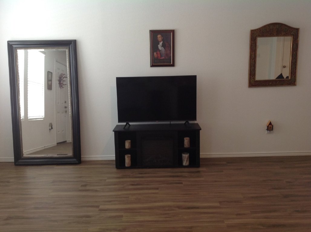 13801 Mussel Run Elgin, TX 78621 - Photo 3 of 18 a living room with a flat screen tv and a fireplace