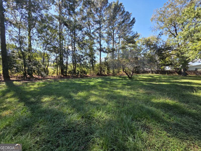 7307 Blocker Road Glennville, GA 30427 - Photo 5 of 6 a big yard with trees