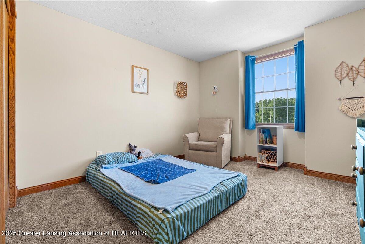 4905 Green Road St. Johns, MI 48879 - Photo 44 of 55 44-Media Jett - 14