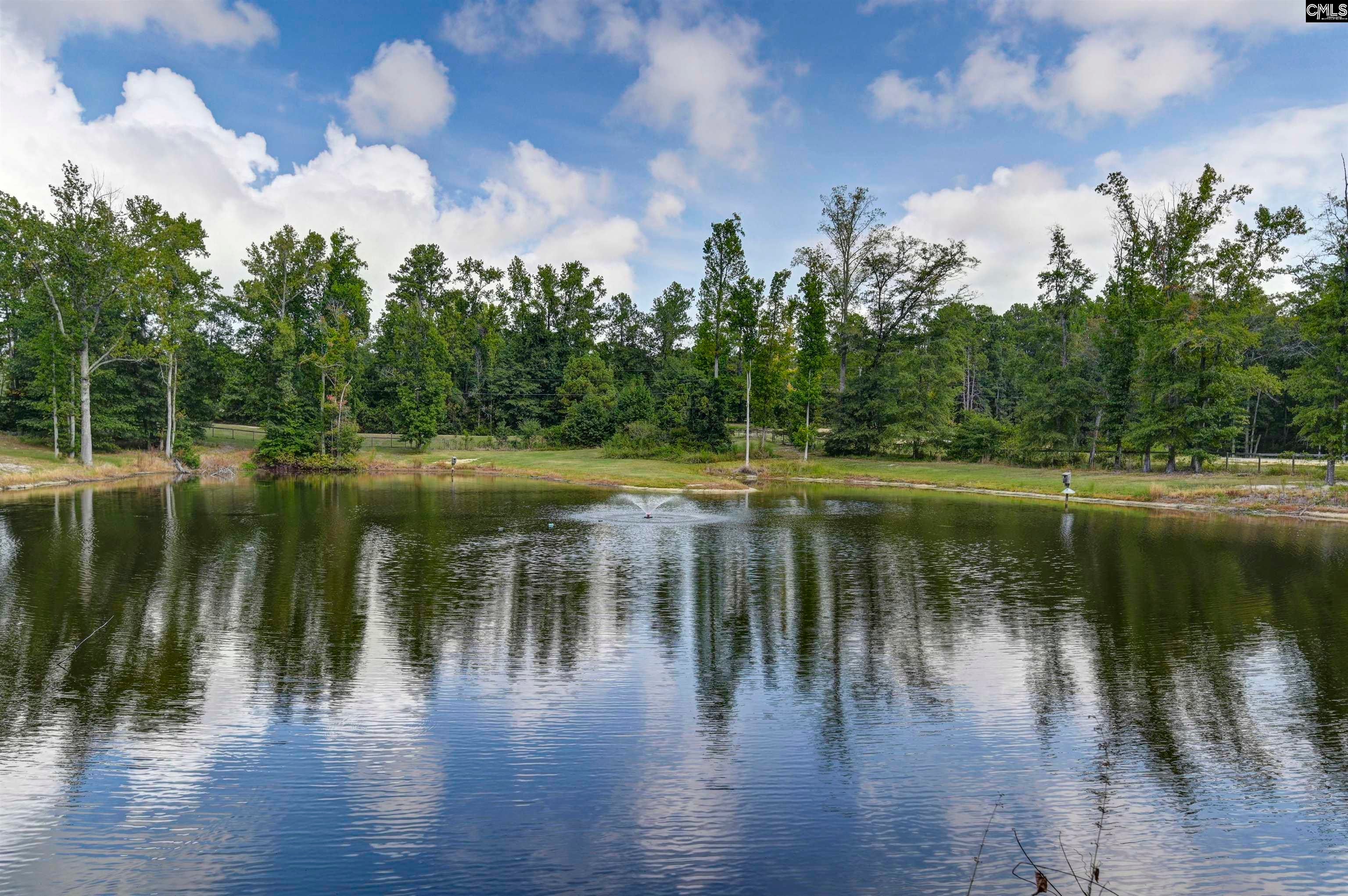1492 Fulmer Road Blythewood, SC 29016 - Photo 66 of 72 Gallery Image 66