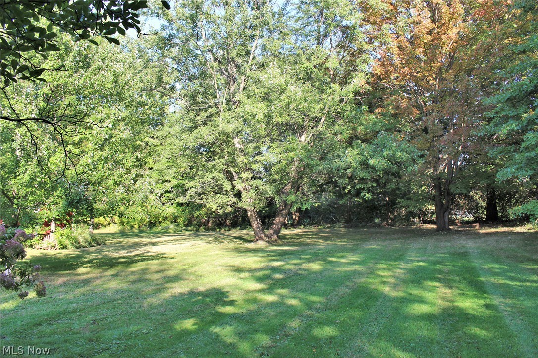 7699 Hopkins Road Mentor, OH 44060 - Photo 15 of 20 Private back yard.
