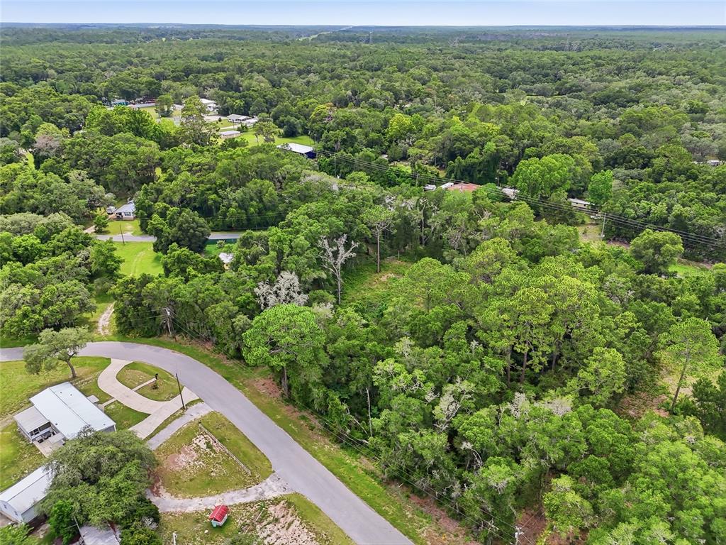 7002 North Castlebury Road Hernando, FL 34442 - Photo 18 of 29