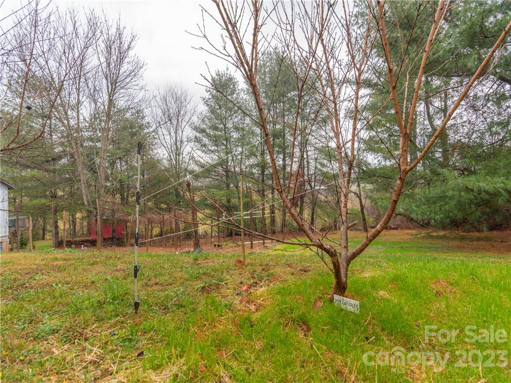 1116 Alexander Road Leicester, NC 28748 - Photo 20 of 37 Gallery Image 20