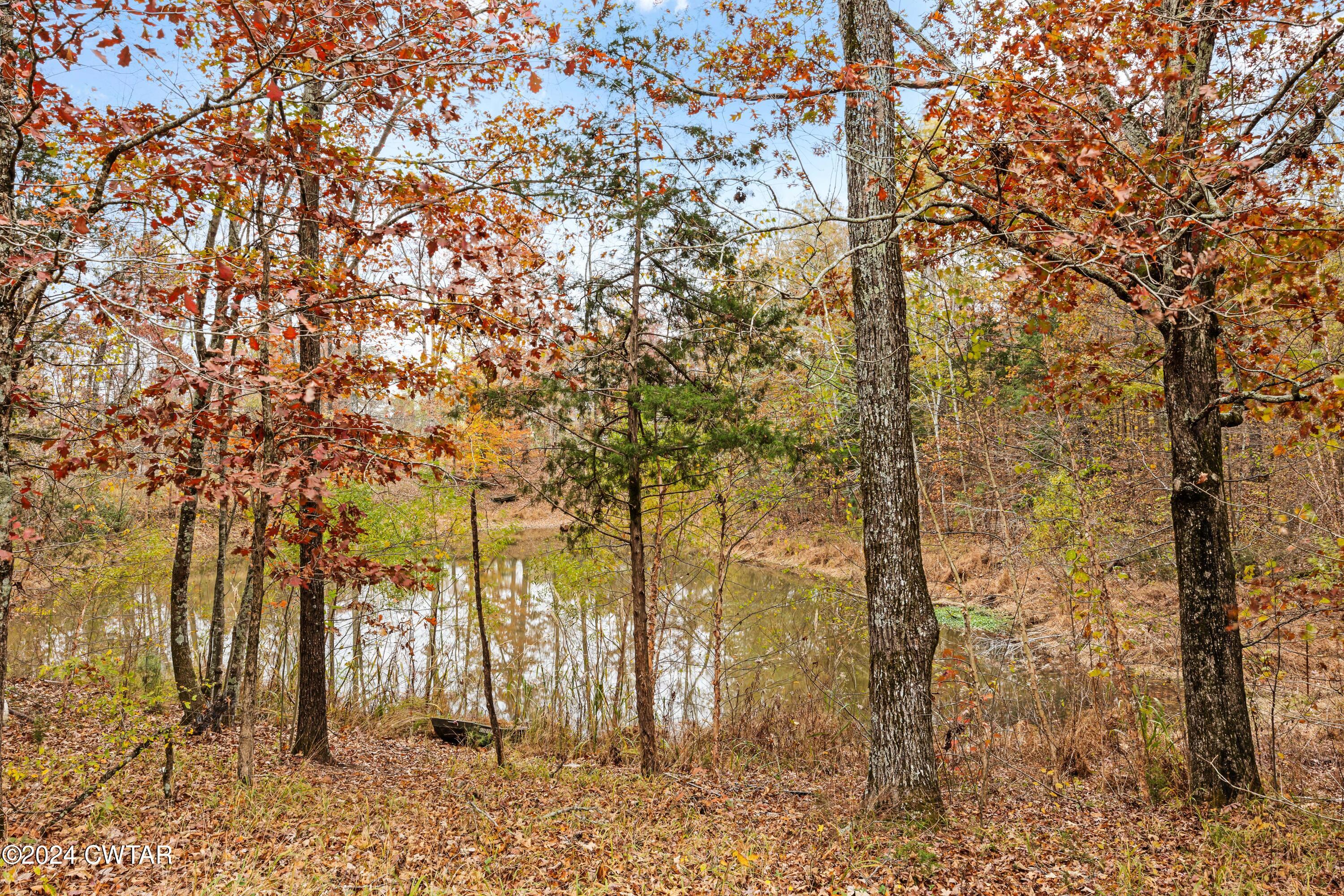 110 Oak Grove Road Milan, TN 38358 - Photo 7 of 29 DG2A2643