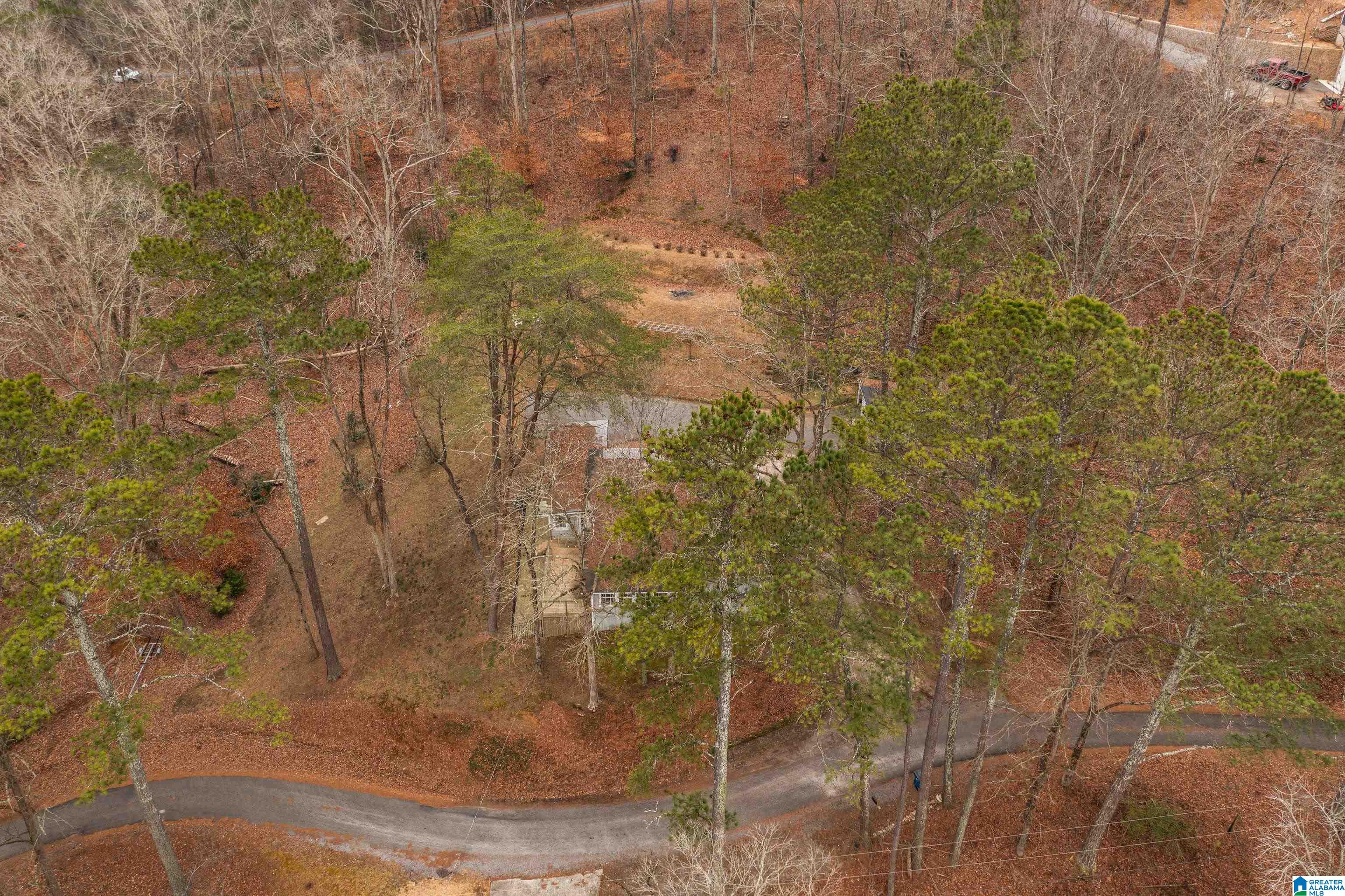 109 Sunset Strip Oneonta, AL 35121 - Photo 58 of 68