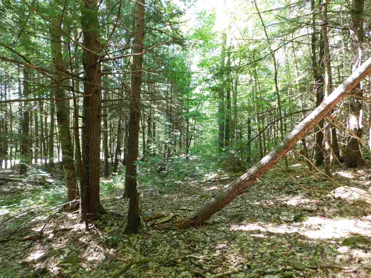 25 A Nh Route Wentworth, NH 03282 - Photo 11 of 15 Gallery Image 11