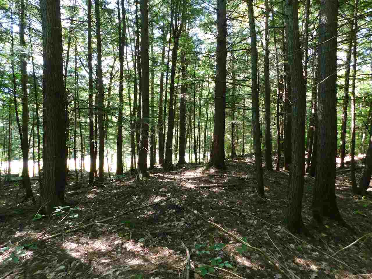 25 A Nh Route Wentworth, NH 03282 - Photo 12 of 15 Gallery Image 12