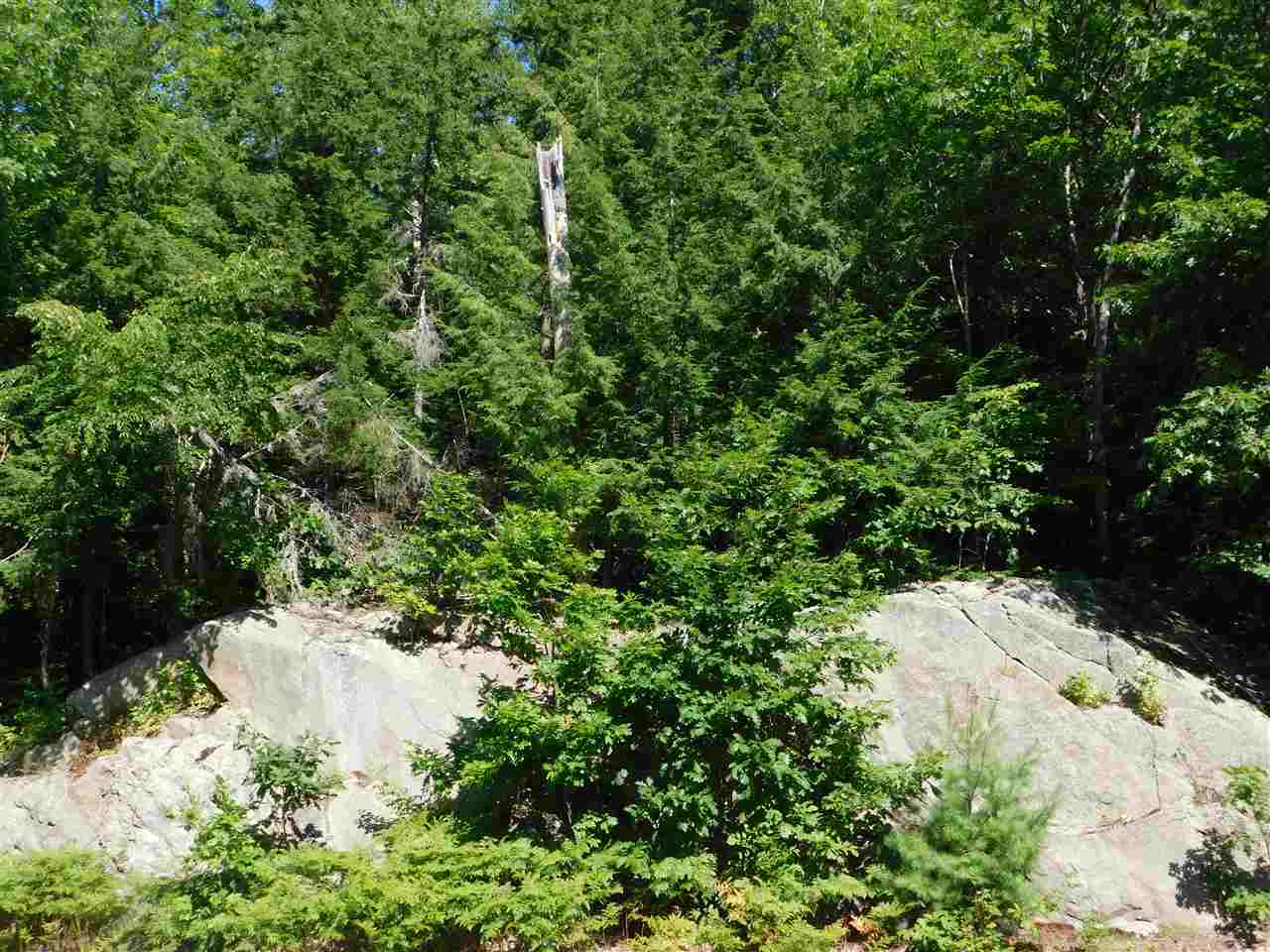 25 A Nh Route Wentworth, NH 03282 - Photo 15 of 15 Gallery Image 15