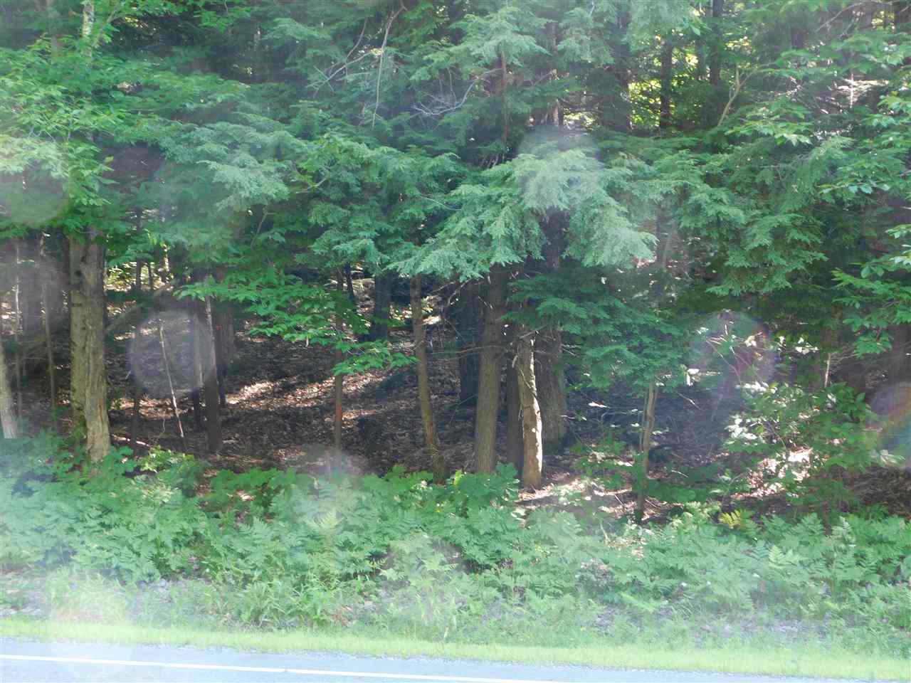 25 A Nh Route Wentworth, NH 03282 - Photo 5 of 15 Gallery Image 5