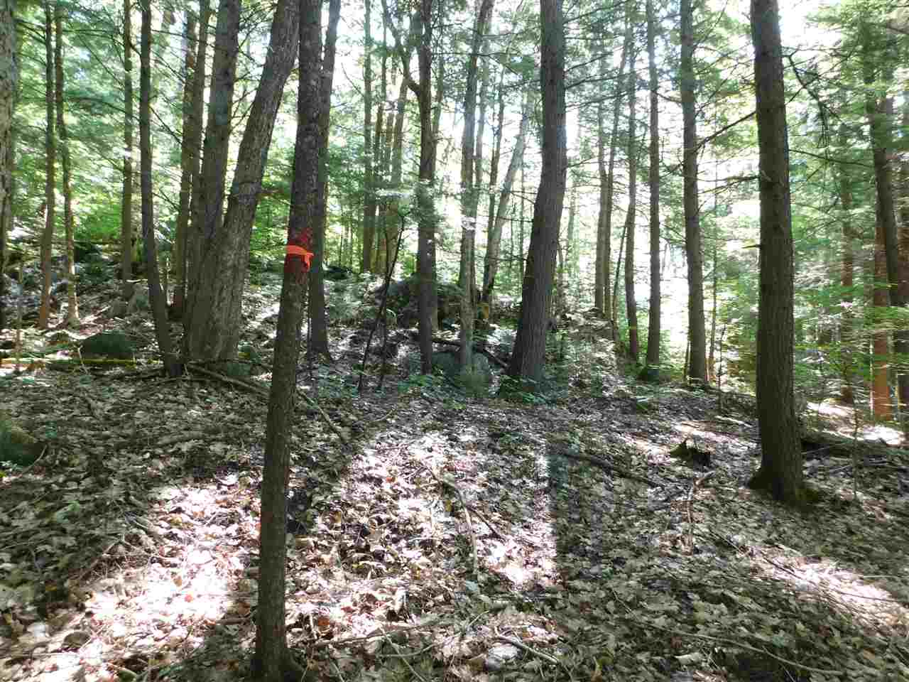 25 A Nh Route Wentworth, NH 03282 - Photo 6 of 15 Gallery Image 6