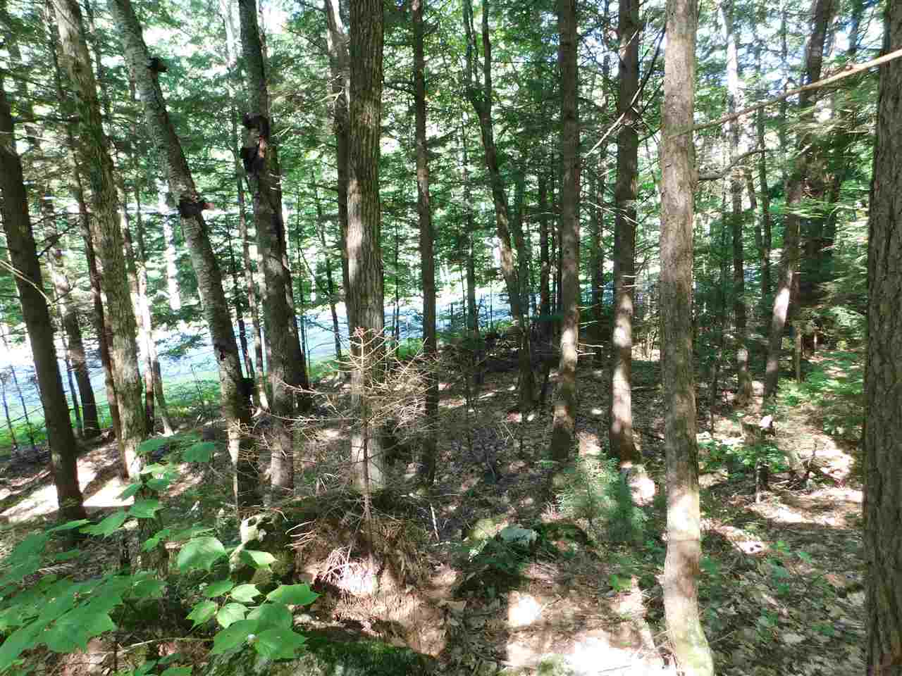 25 A Nh Route Wentworth, NH 03282 - Photo 7 of 15 Gallery Image 7