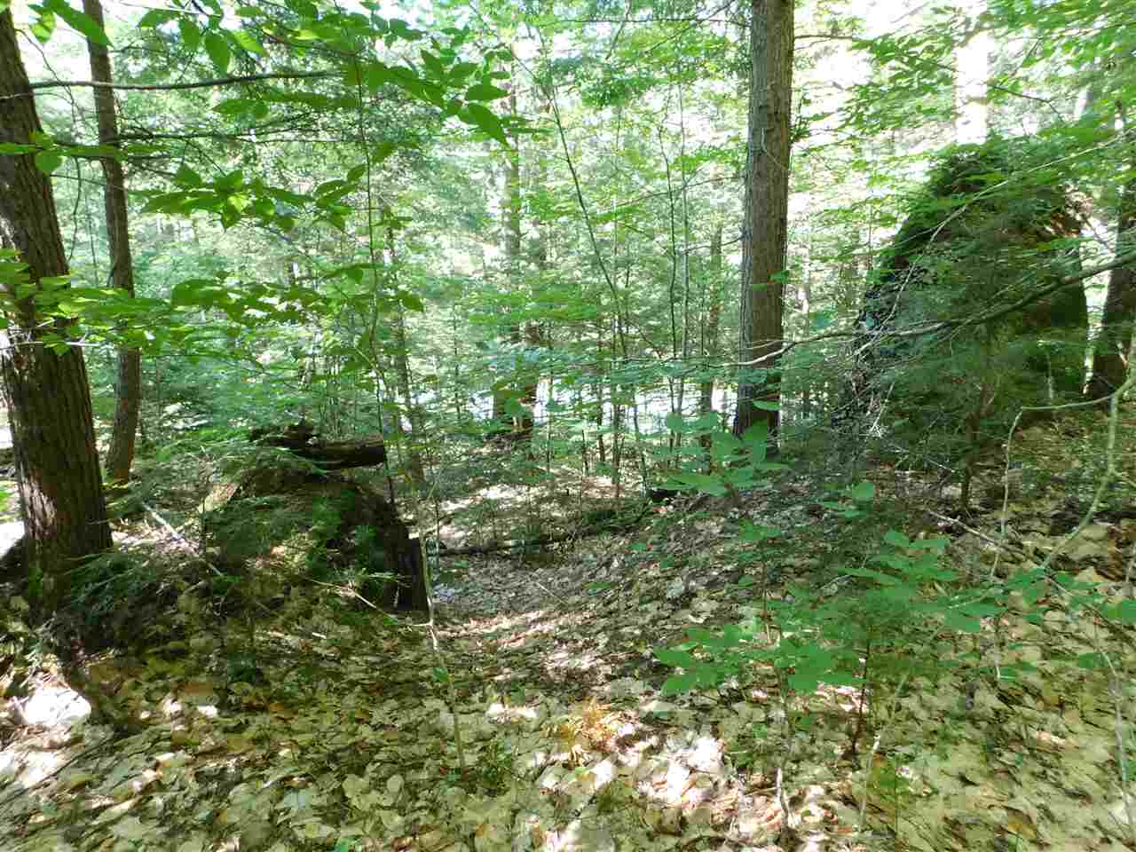 25 A Nh Route Wentworth, NH 03282 - Photo 8 of 15 Gallery Image 8