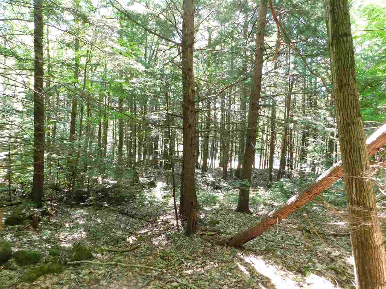 25 A Nh Route Wentworth, NH 03282 - Photo 10 of 15 Gallery Image 10