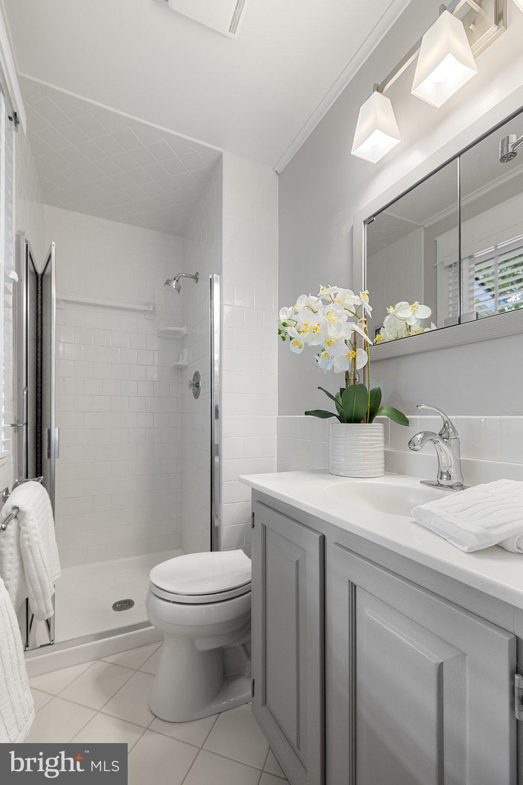 7711 Heming Place Springfield, VA 22151 - Photo 35 of 76 primary bath