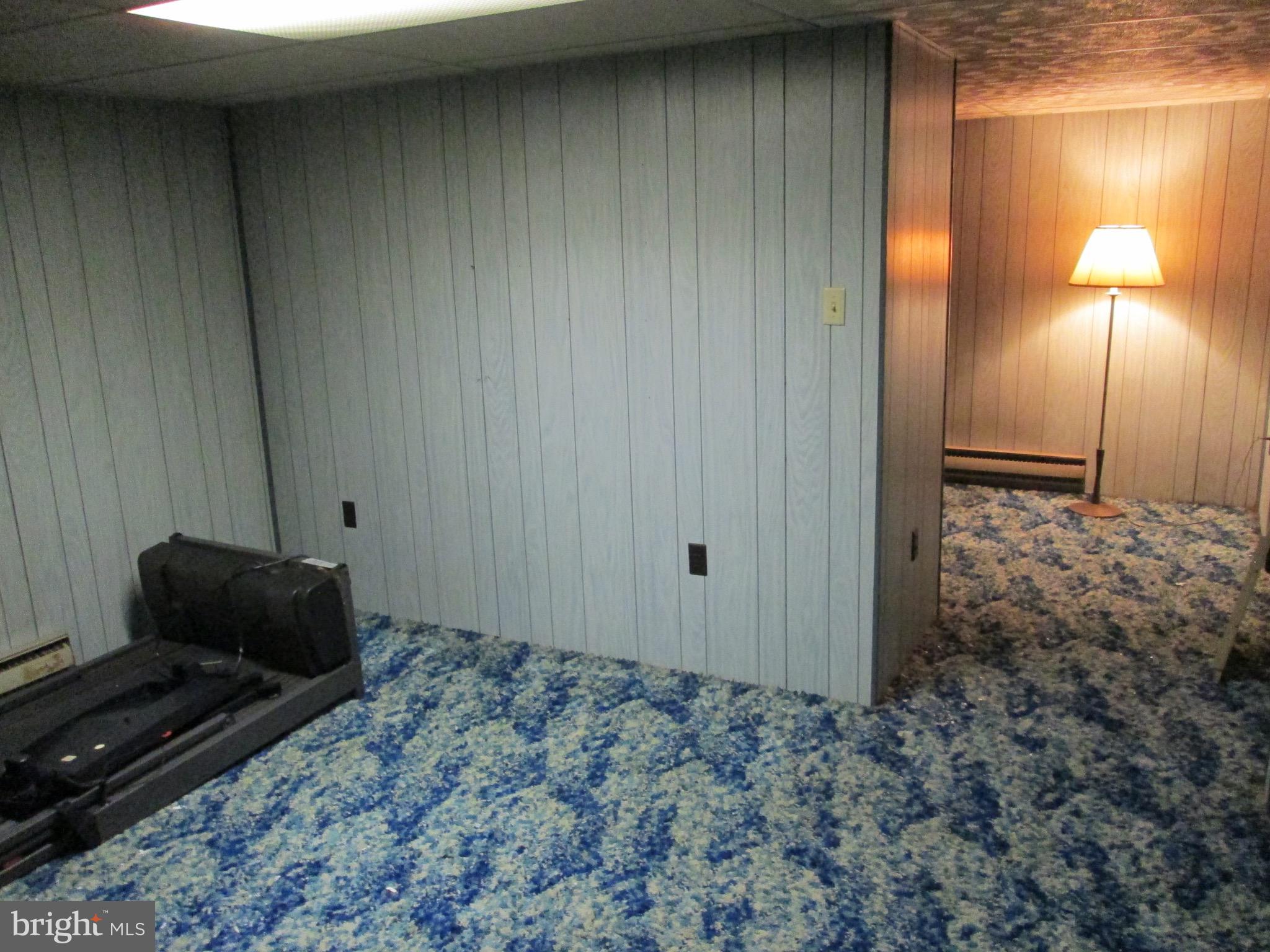 524 Prison Road Leesport, PA 19533 - Photo 47 of 66 Lower Level Extra Room