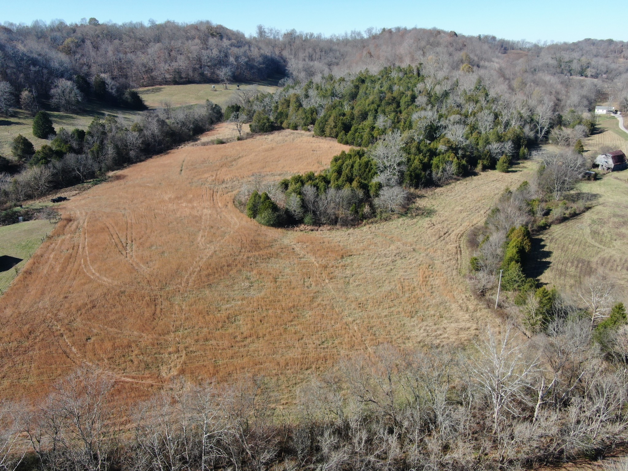 0 Diana Ridge Road Pulaski, TN 38478 - Photo 5 of 6 a view of a dry backyard