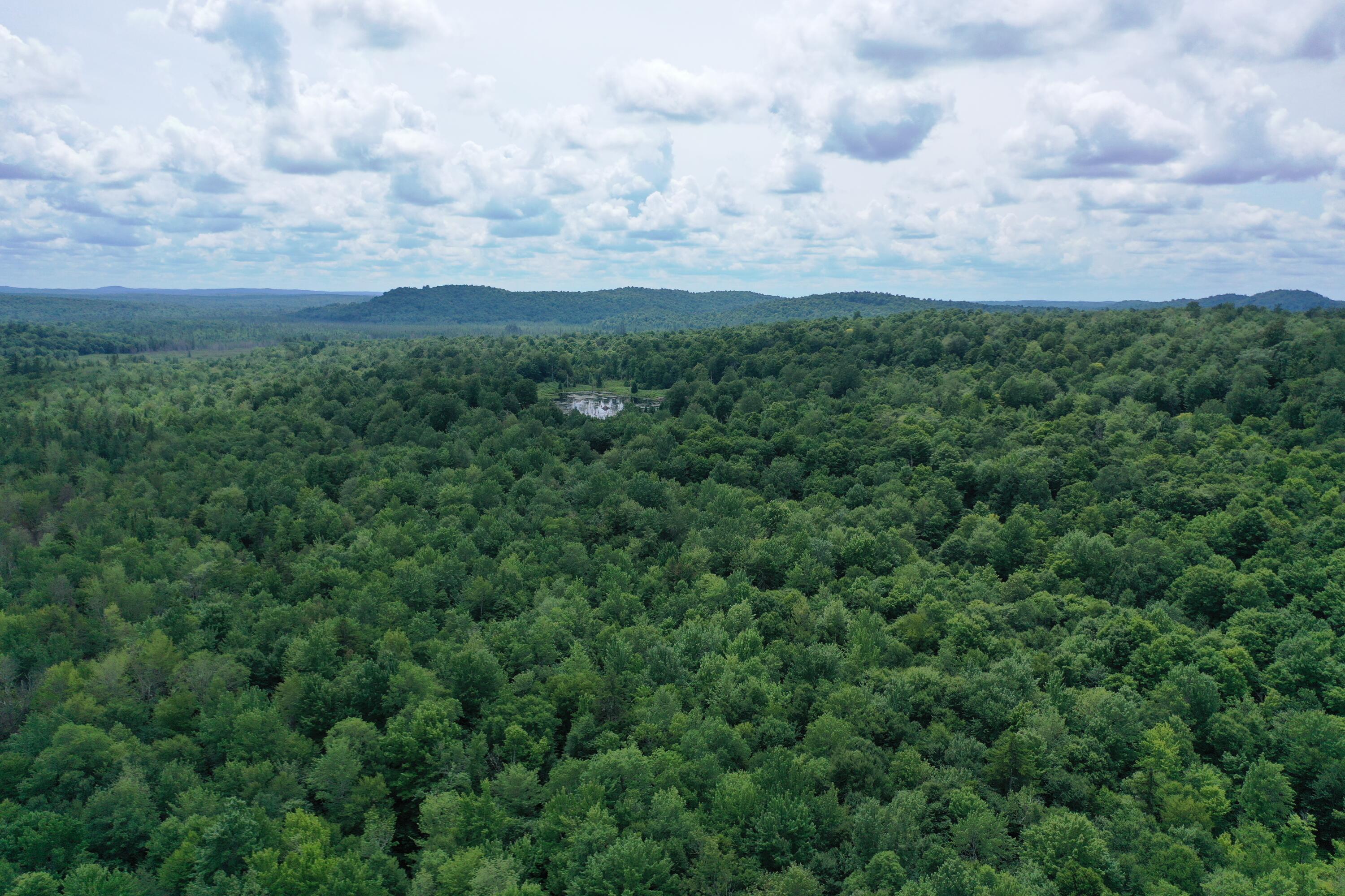 460 Little John Road Colton, NY 13625 - Photo 3 of 14 DJI_0972