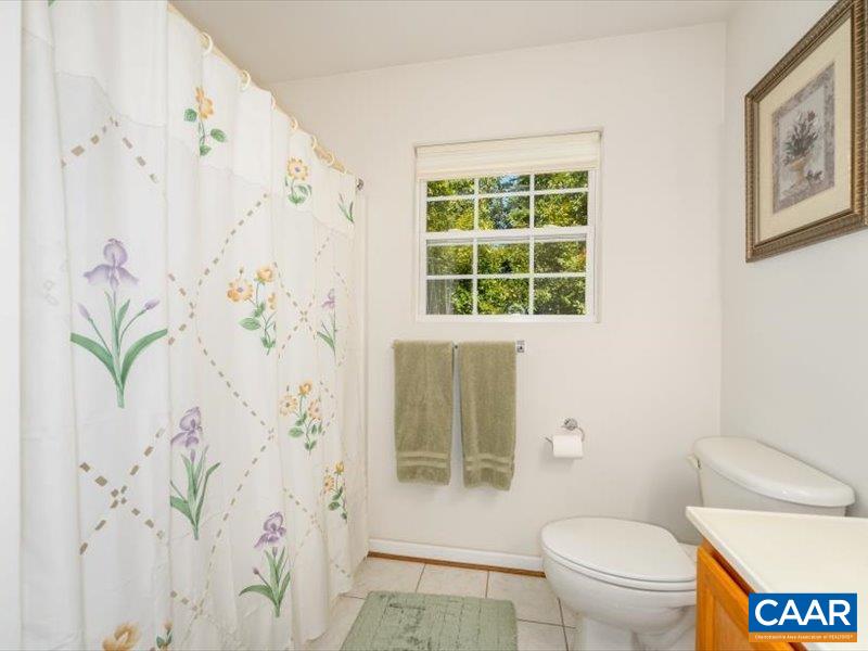 10 Cliftwood Road Palmyra, VA 22963 - Photo 46 of 59 Gallery Image 46