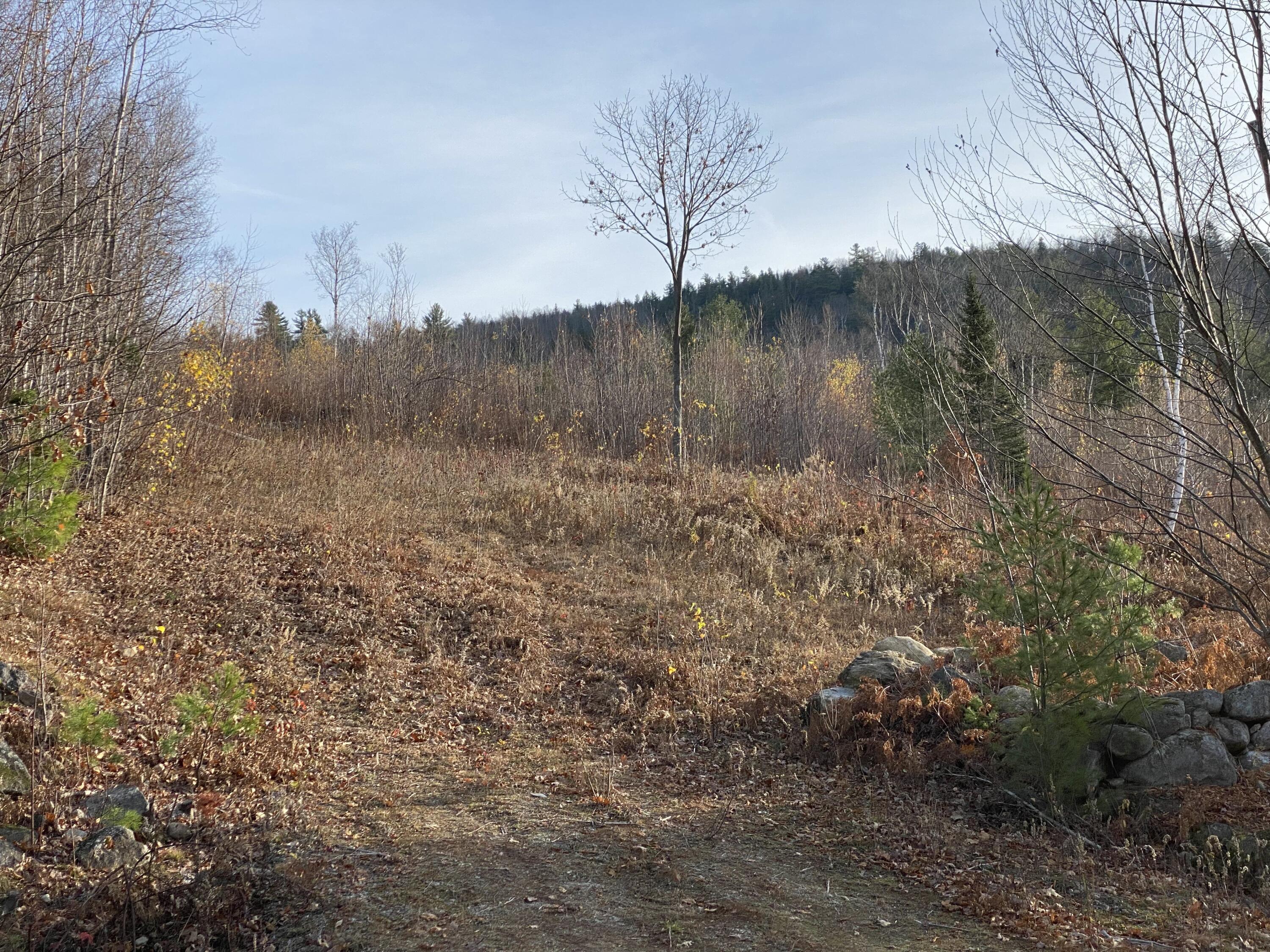 Lot #9 Taylor Smith Road Bethel, ME 04217 - Photo 21 of 22 Up slope from drive