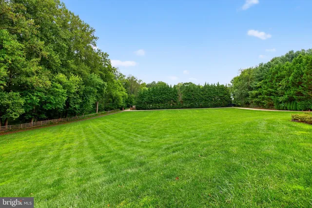 a view of a grassy field with trees in the background