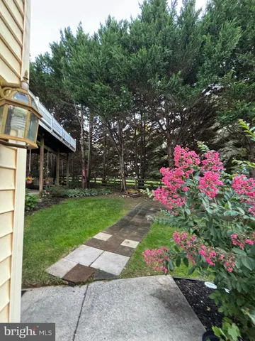 a small garden covered with tall trees