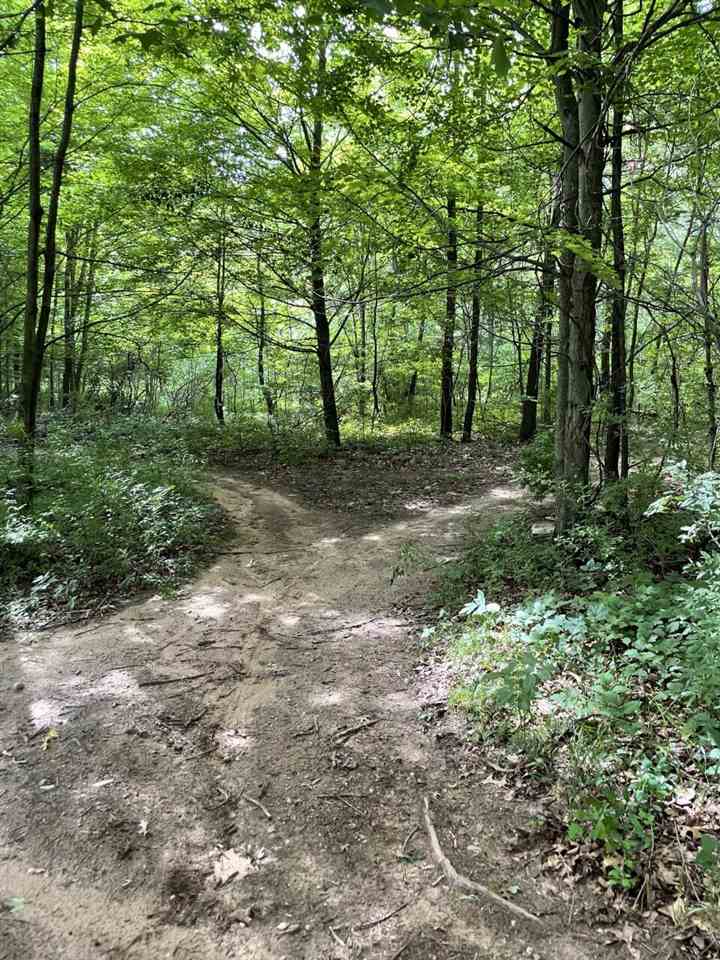 0 North P Drive Albion, MI 49224 - Photo 2 of 11