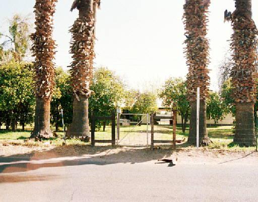4741 East Oak Street Phoenix, AZ 85008 - Photo 1 of 1 Primary Photo