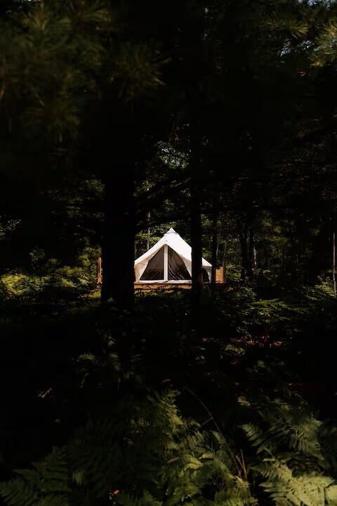 9239 East 8 Mile Road Luther, MI 49656 - Photo 47 of 58 Gallery Image 47