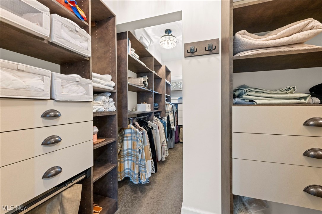 3210 Scranton Road Cleveland, OH 44109 - Photo 25 of 50 Walk in closet featuring carpet