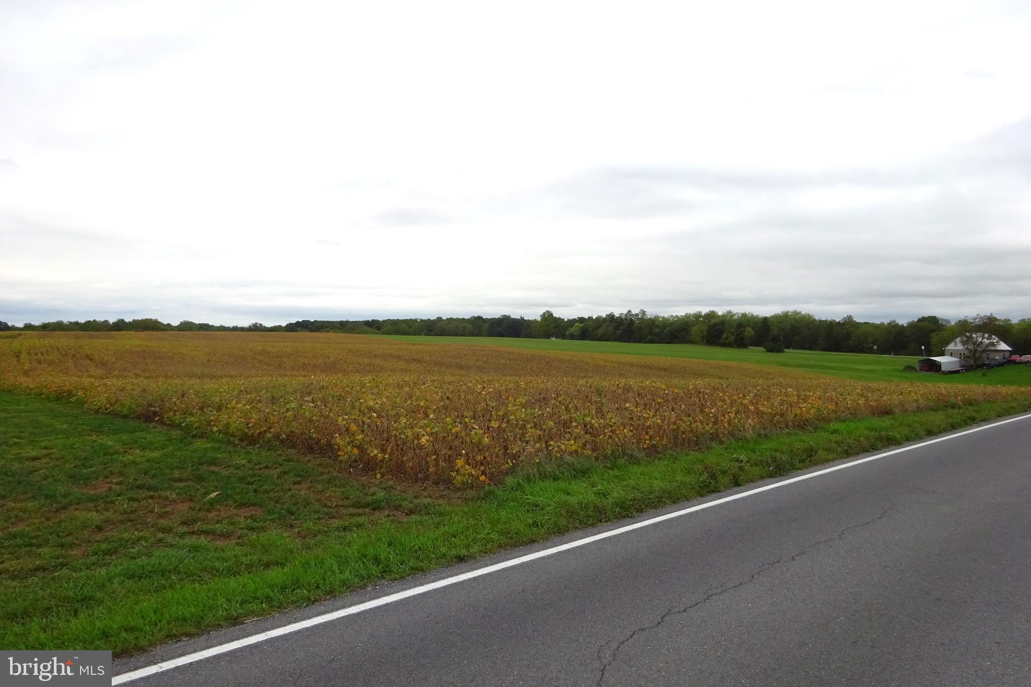 0 Grant Shook Road Greencastle, PA 17225 - Photo 6 of 11 Gallery Image 6