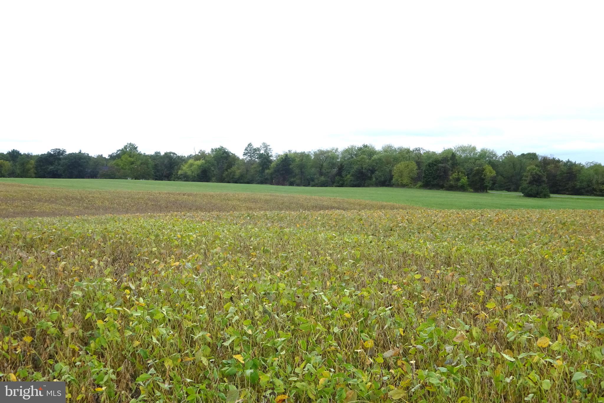 0 Grant Shook Road Greencastle, PA 17225 - Photo 7 of 11 Gallery Image 7