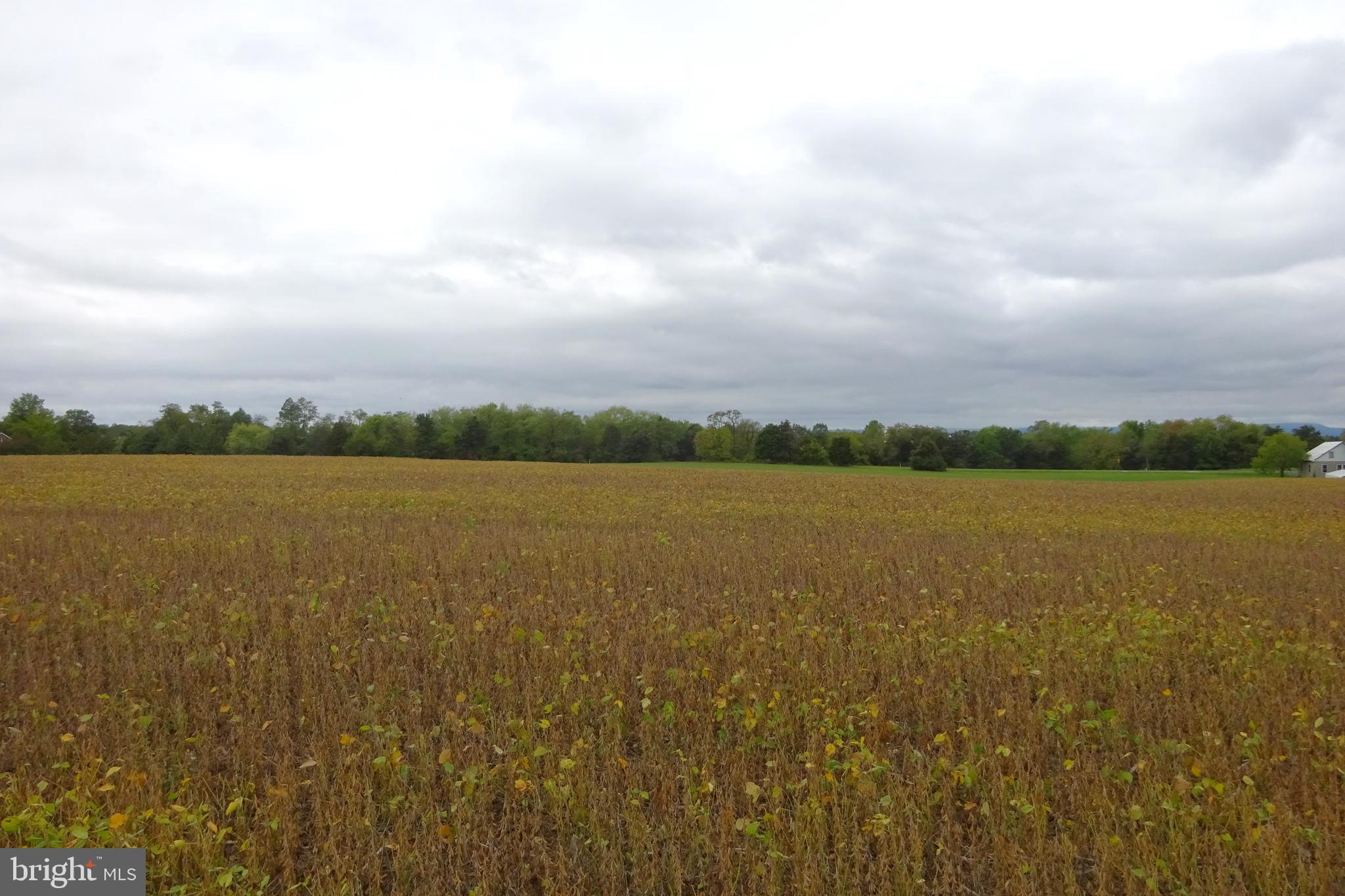 0 Grant Shook Road Greencastle, PA 17225 - Photo 10 of 11 Gallery Image 10