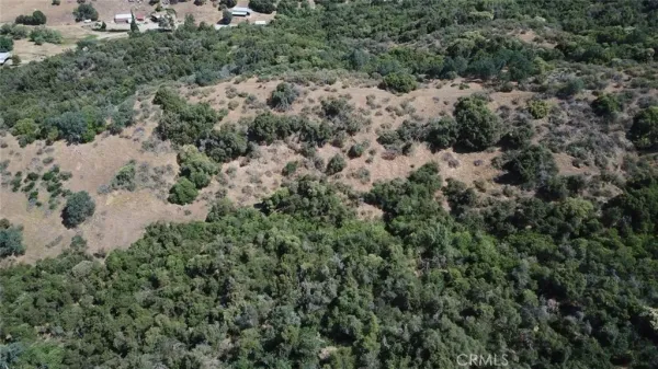 an aerial view of forest